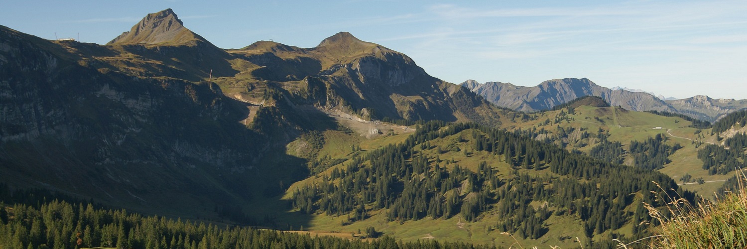 Fairnetz - das faire Anbieterverzeichnis für das Bundesland Vorarlberg